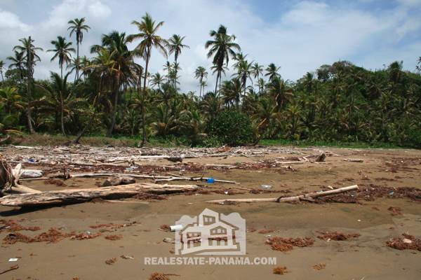 Lote del Caribe con lago escondido