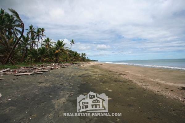Lote frente al mar con título caribeño