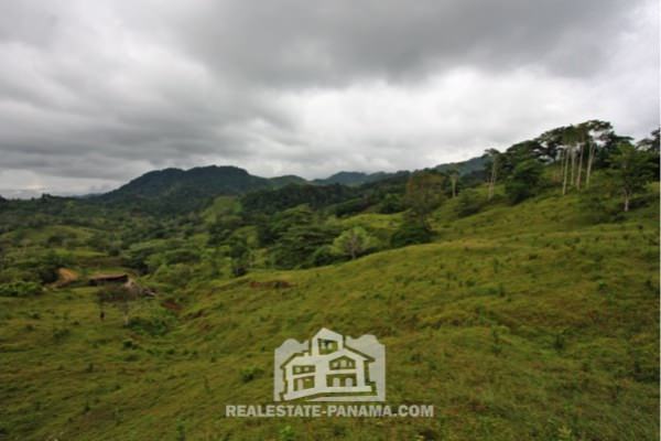 Granja de caballos en Costa Arriba con vista al mar