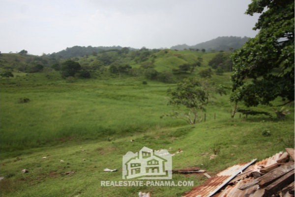 Finca en el Caribe en el Parque Portobelo