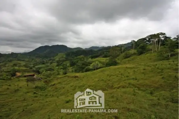 Granja de caballos en Costa Arriba con vista al mar