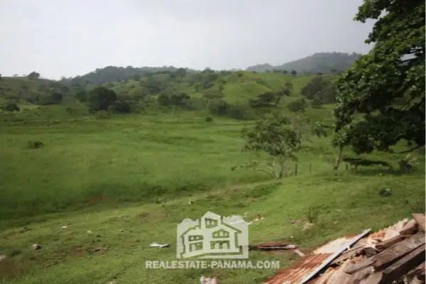 Finca en el Caribe en el Parque Portobelo